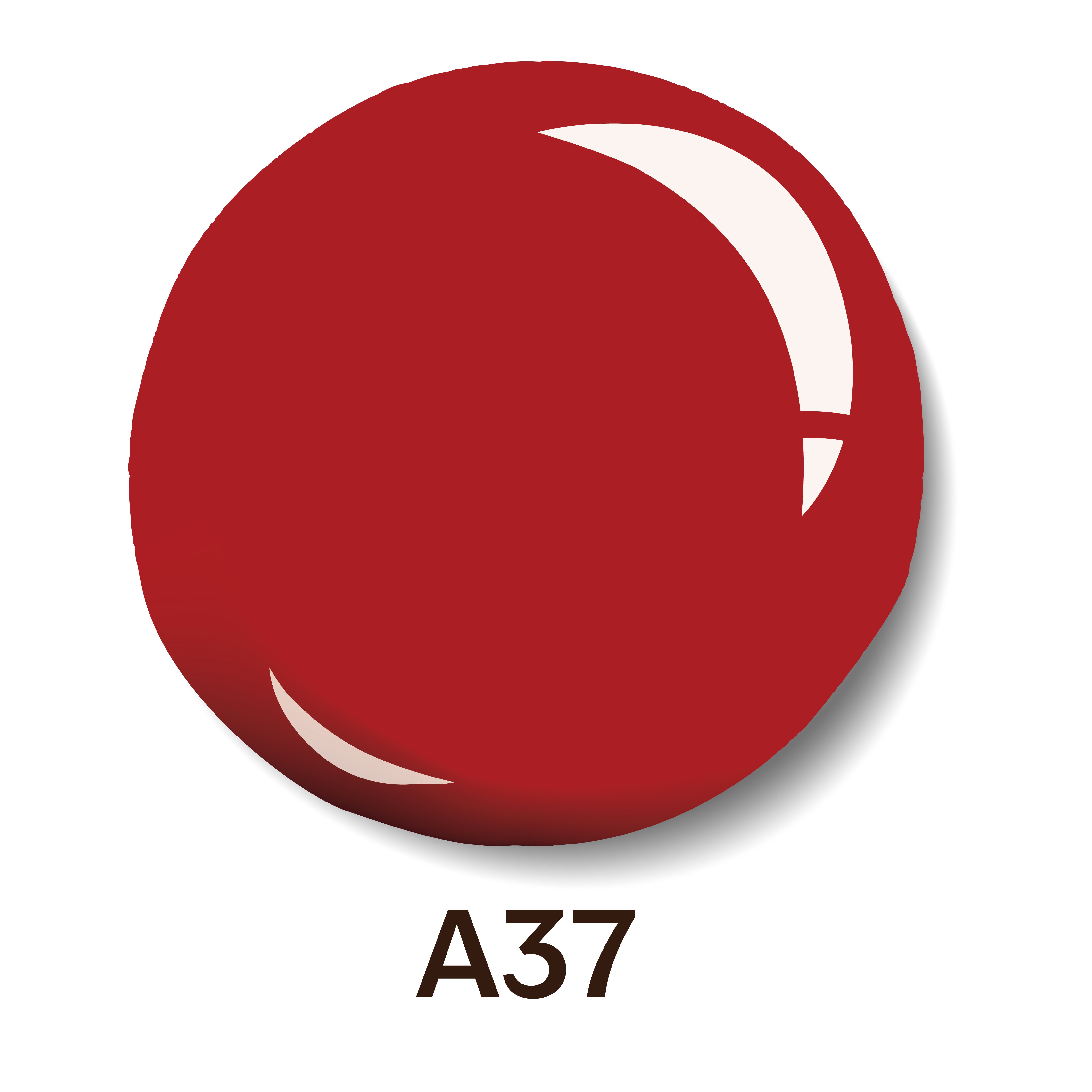 Nail Paint 7 ml